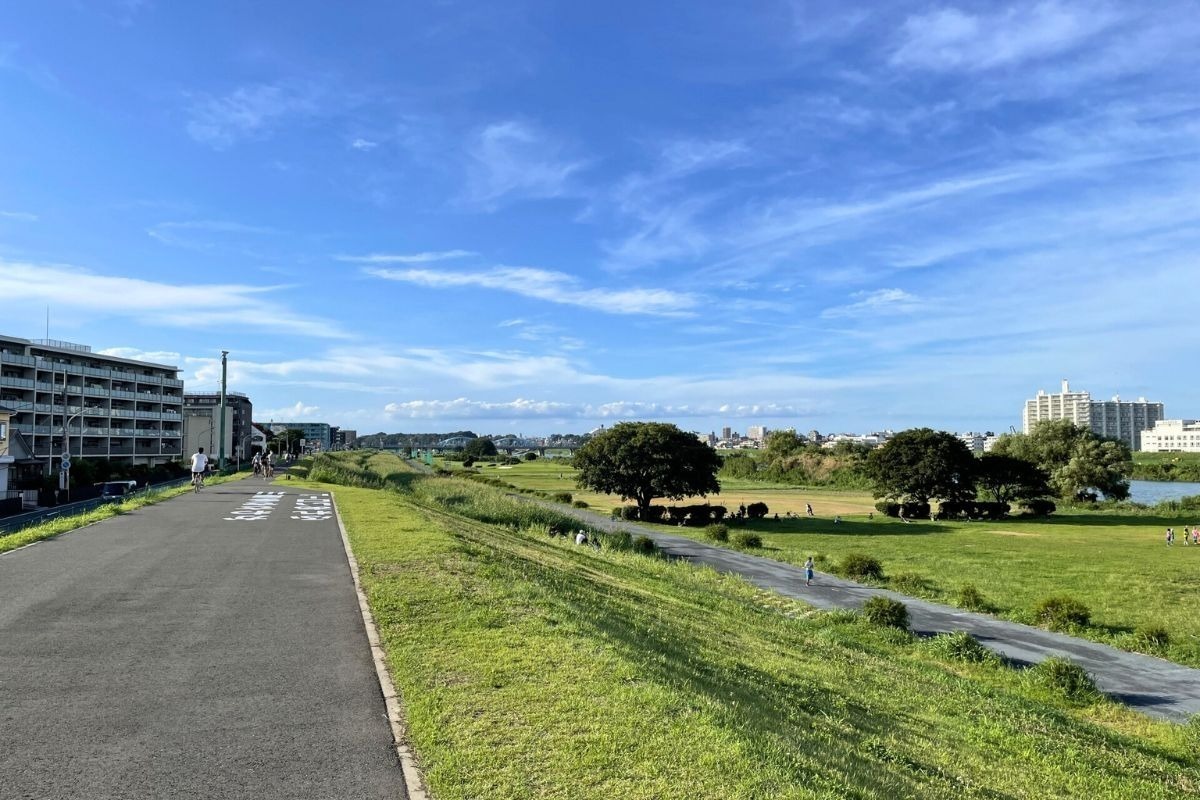 武蔵小杉に暮らす魅力をさらに引き出す生活情報